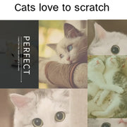 Cat Self Groomer with Catnip Wall Corner Scratcher Comb Soft Grooming Massage Brush Toy Scratch Massager Tool for Kitten Puppy