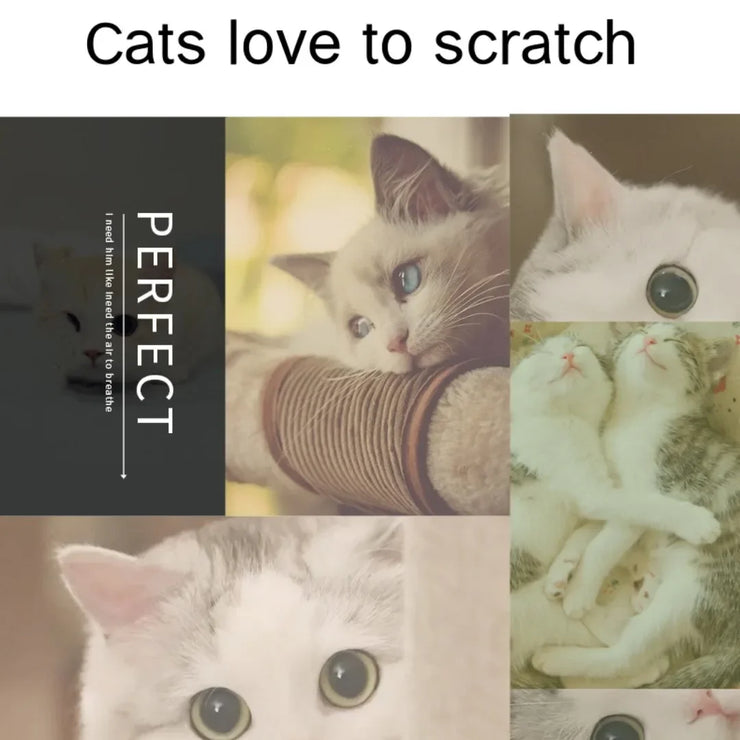 Cat Self Groomer with Catnip Wall Corner Scratcher Comb Soft Grooming Massage Brush Toy Scratch Massager Tool for Kitten Puppy