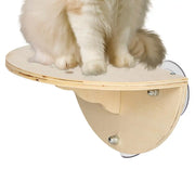 Cat Window Perch Space Saving Window Cat Seat Kitten Climbing Wood Window Shelf with 3 Suction Cups Cats Play Climb Seat for