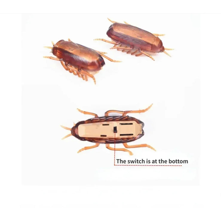 Interactive Cockroach Simulation Toy for Cats & Dogs - Fun Training Playtime!