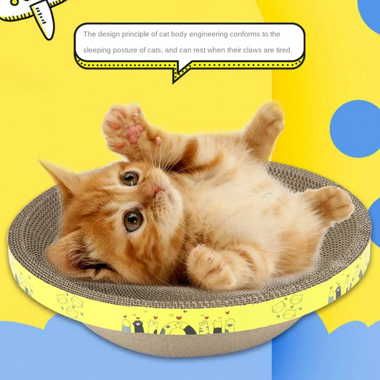 cat play toys