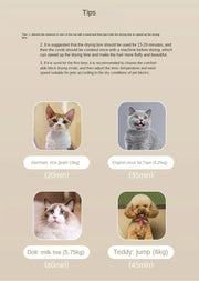 Smart Pet Drying Box, Automatic Temperature Control Dryer, Water Sterilization, Anti Cold, Beauty Equipment, Cats and Dogs