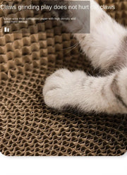 cat play toys