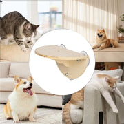 Cat Window Perch Space Saving Window Cat Seat Kitten Climbing Wood Window Shelf with 3 Suction Cups Cats Play Climb Seat for