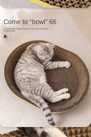 cat play toys