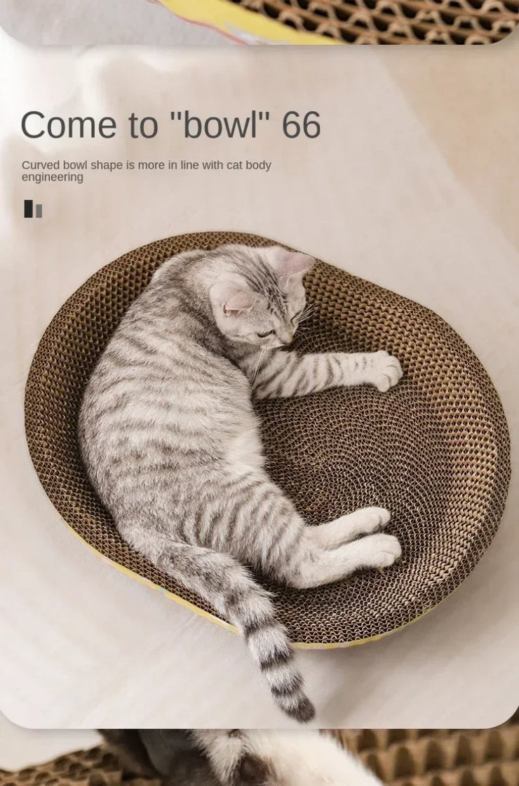 cat play toys