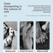 Cat Scratching Board Protective Furniture Claw Grinding Toys Pet Bed for Cat Stuff Oval Corrugated Paper Accessories Cats Nesk