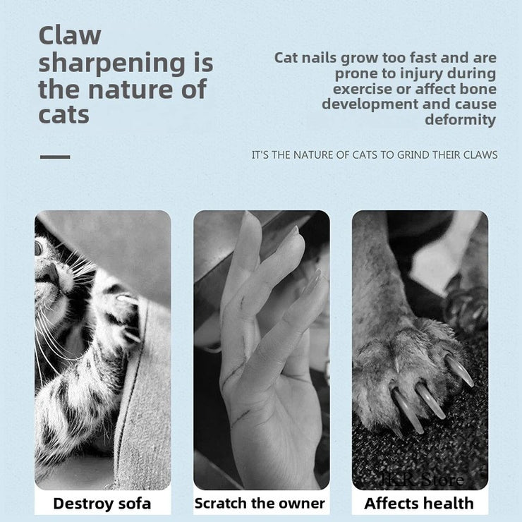 Cat Scratching Board Protective Furniture Claw Grinding Toys Pet Bed for Cat Stuff Oval Corrugated Paper Accessories Cats Nesk