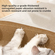 cat play toys