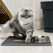 Cat Litter Mat 