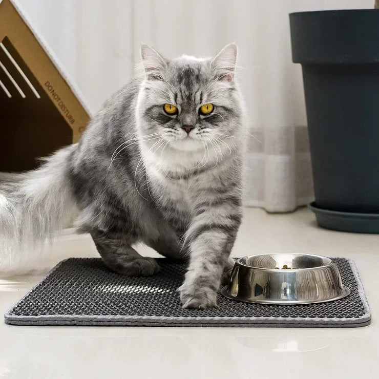 Cat Litter Mat 