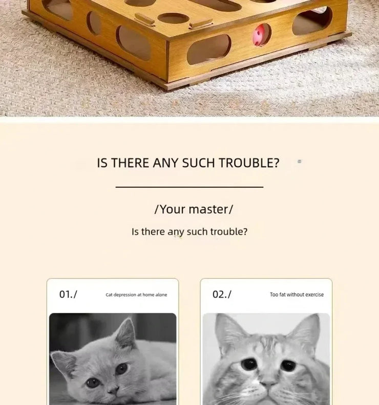 New Cat Maze Toy Cats Maze Box Funny Feeder Multi Hole Interactive Cat Toys Kitten Balls Stimulation Mental Box Interactive Game