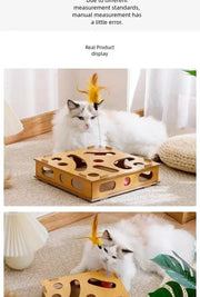 New Cat Maze Toy Cats Maze Box Funny Feeder Multi Hole Interactive Cat Toys Kitten Balls Stimulation Mental Box Interactive Game