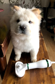 Pet Hair Dryer for Dogs Portable 2-in-1 Dog Desmotor Blower Dog with Blower Thermostat for Puppy Cleaning Dog Grooming Pet Dries
