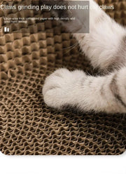 anti cat scratching