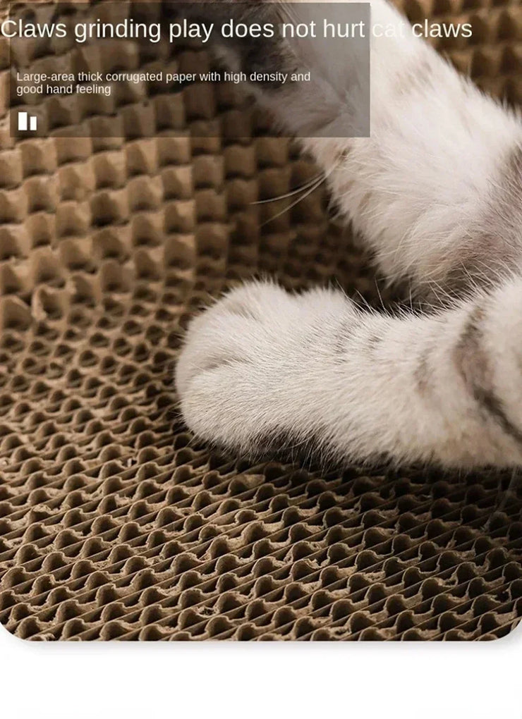 anti cat scratching