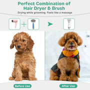 Pet Hair Dryer for Dogs Portable 2-in-1 Dog Desmotor Blower Dog with Blower Thermostat for Puppy Cleaning Dog Grooming Pet Dries