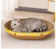 cat play toys