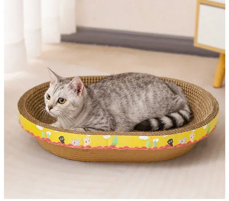 cat play toys