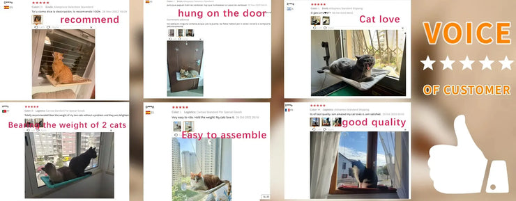 Foldable Cat Window Perch Bed Hammock Cat Window Wall Perch Hammock Seat with 4 Strong Suction Cups