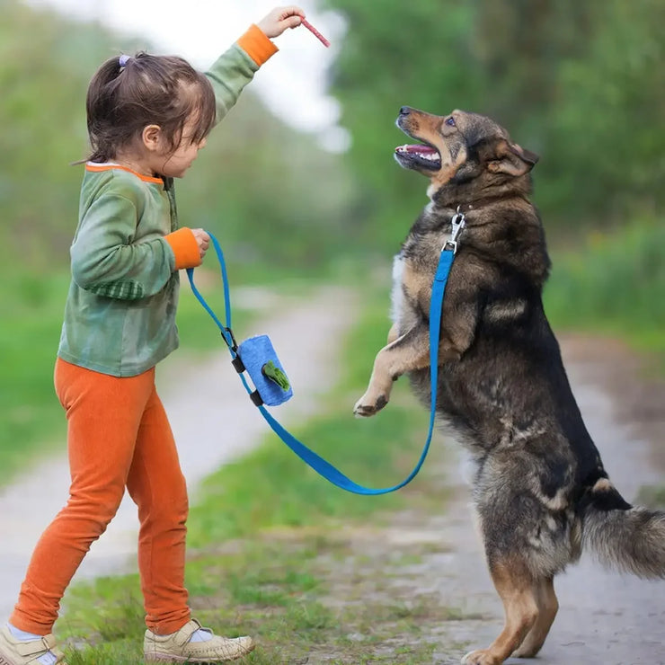 Pet Dog Poop Bag Dispenser Storage Bag Products Pet Waste Bags Carrier Dog Walking Accessories  Cleaning Supplies