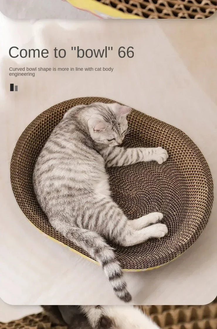 anti cat scratching