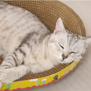 cat play toys