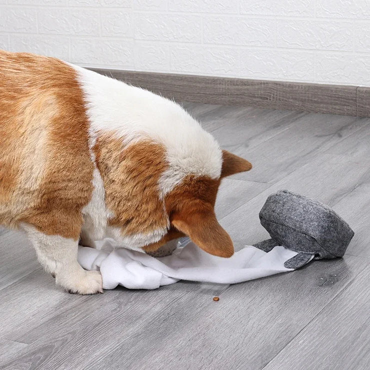 Interactive Treat, Feeder, Pet Toys, Nosework Training, Sniffing,Tissue Box Snuffle Toy for Cats Dogs