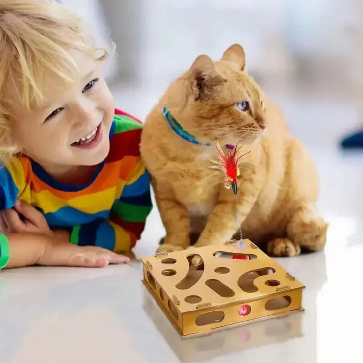 New Cat Maze Toy Cats Maze Box Funny Feeder Multi Hole Interactive Cat Toys Kitten Balls Stimulation Mental Box Interactive Game