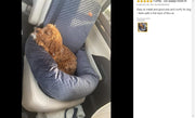 Dog Car Pet Bed Pet Seat Car Nest Car Mats Car Cushion Safety Seat Car Kennel Car Cage