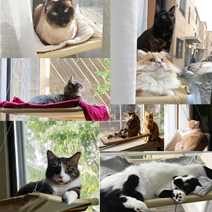 Soft cat window hammock Comfortable perch for cat naps Firmly mounted, Load-bearing, perfect for saving space