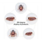 Interactive Cockroach Simulation Toy for Cats & Dogs - Fun Training Playtime!