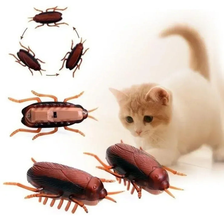 Interactive Cockroach Simulation Toy for Cats & Dogs - Fun Training Playtime!