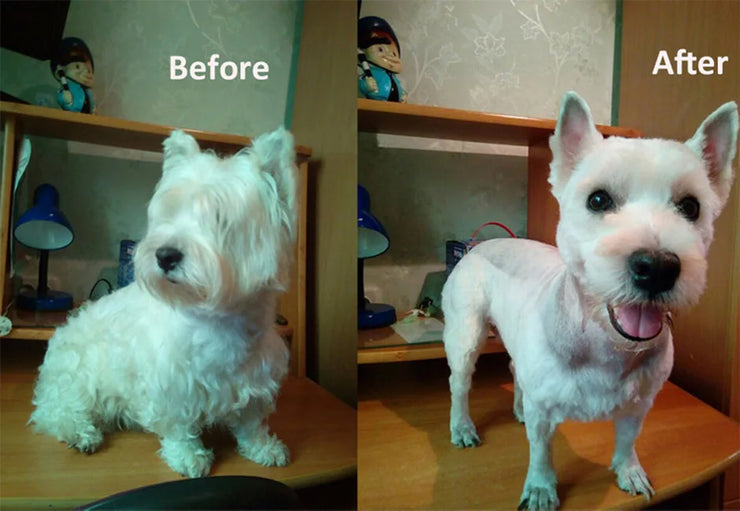 Dog Hair Clippers