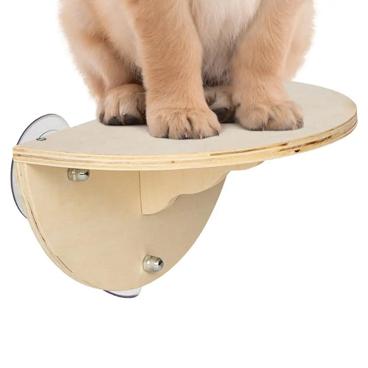 Cat Window Perch Space Saving Window Cat Seat Kitten Climbing Wood Window Shelf with 3 Suction Cups Cats Play Climb Seat for